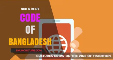 Understanding Bangladesh's STD Code: A Comprehensive Guide for International Calls
