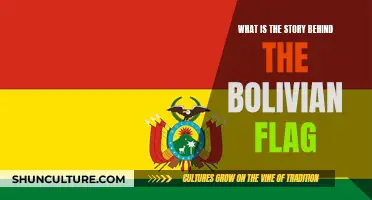 The Evolution of Bolivia's National Flag