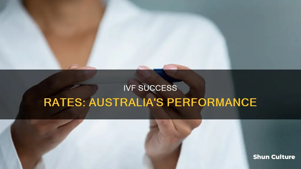 what is the success rate of ivf in australia