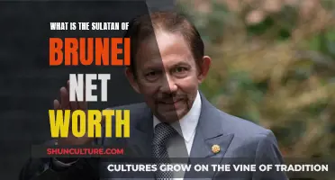 Wealth of the Sultan of Brunei: How Rich?