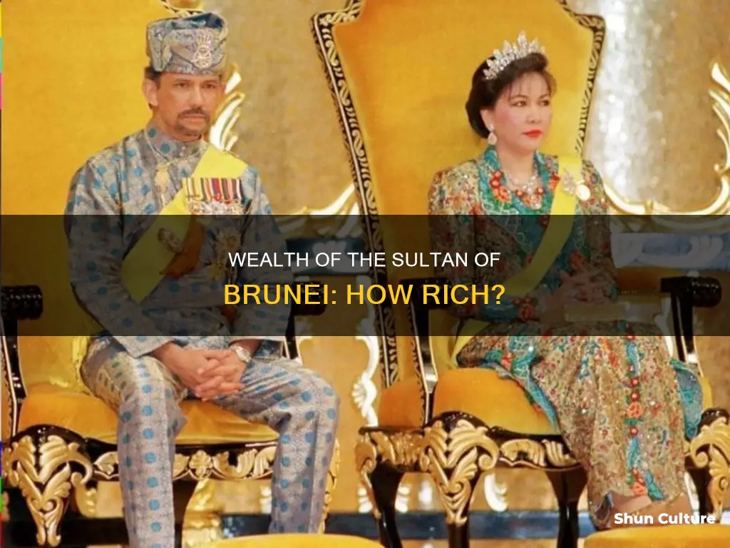 what is the sulatan of brunei net worth