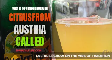 The Refreshing Austrian Summer Beer: A Citrusy Delight | ShunCulture