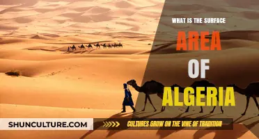 Exploring Algeria's Geography: Understanding Its Vast Surface Area