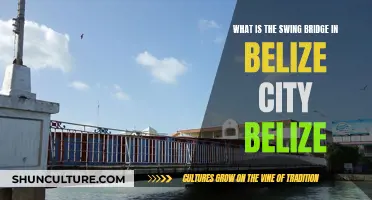 The Swing of Things: Belize City's Unique Bridge