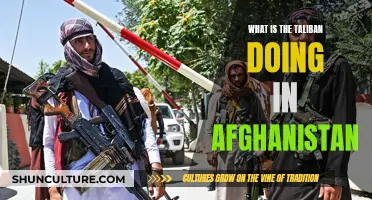 The Resurgence of the Taliban in Afghanistan: A Complex Reality