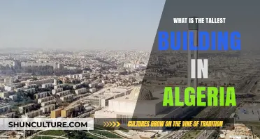 Discovering Algeria's Sky-High Landmark: The Tallest Building Revealed