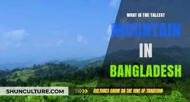 Discovering Bangladesh's Highest Peak: The Majestic Moutain