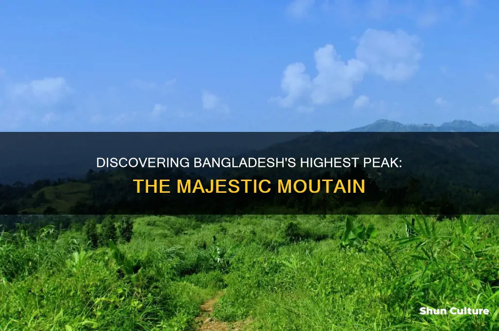 what is the tallest mountain in bangladesh