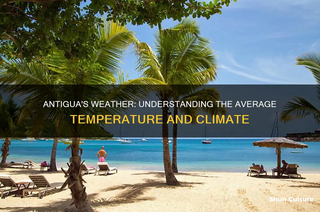 what is the temp in antigua