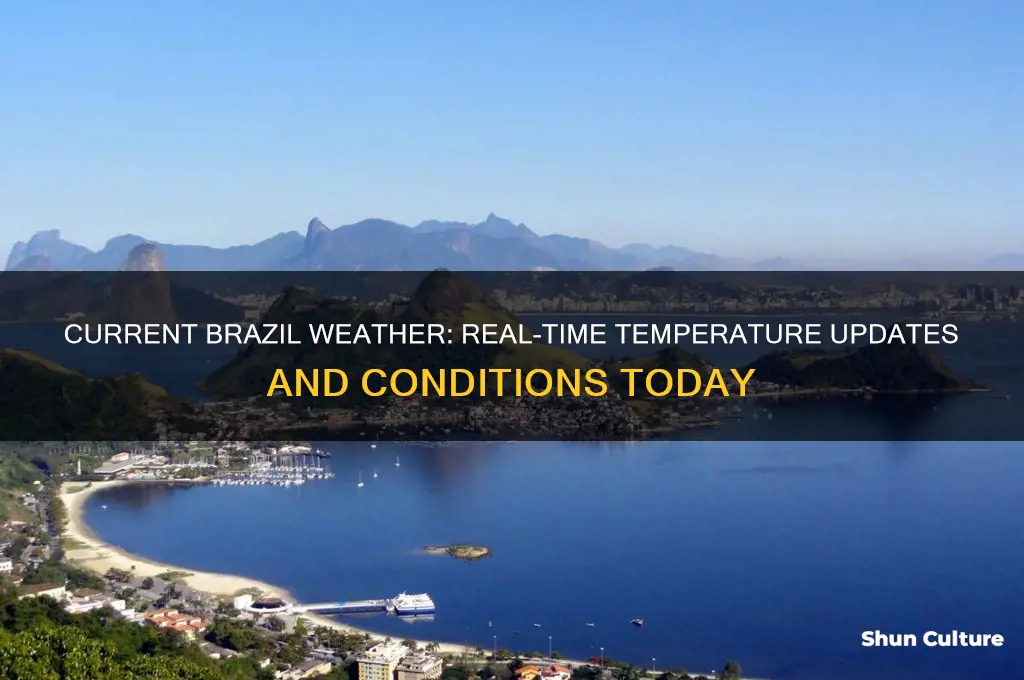 what is the temp in brazil right now