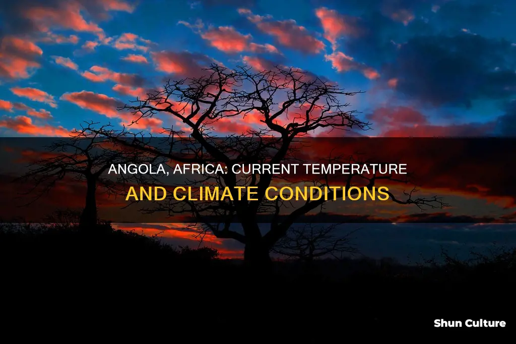 what is the temperature in angola africa right now