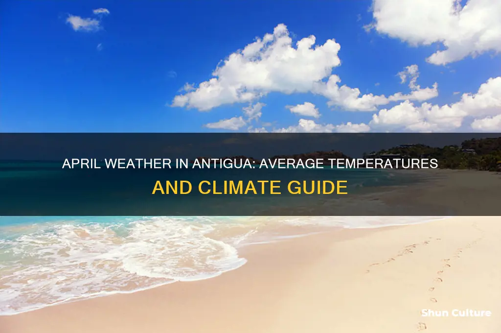 what is the temperature in antigua in april