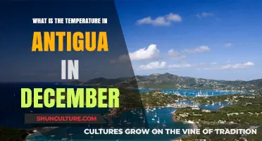 December Weather in Antigua: Average Temperatures and Climate Guide