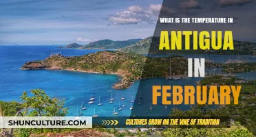 Antigua's February Weather: Average Temperatures and Climate Guide