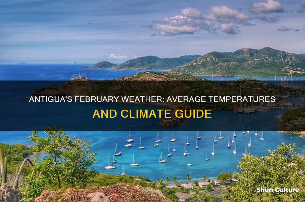 what is the temperature in antigua in February
