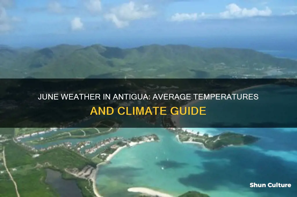 what is the temperature in antigua in june