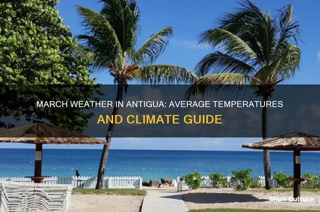 what is the temperature in antigua in march
