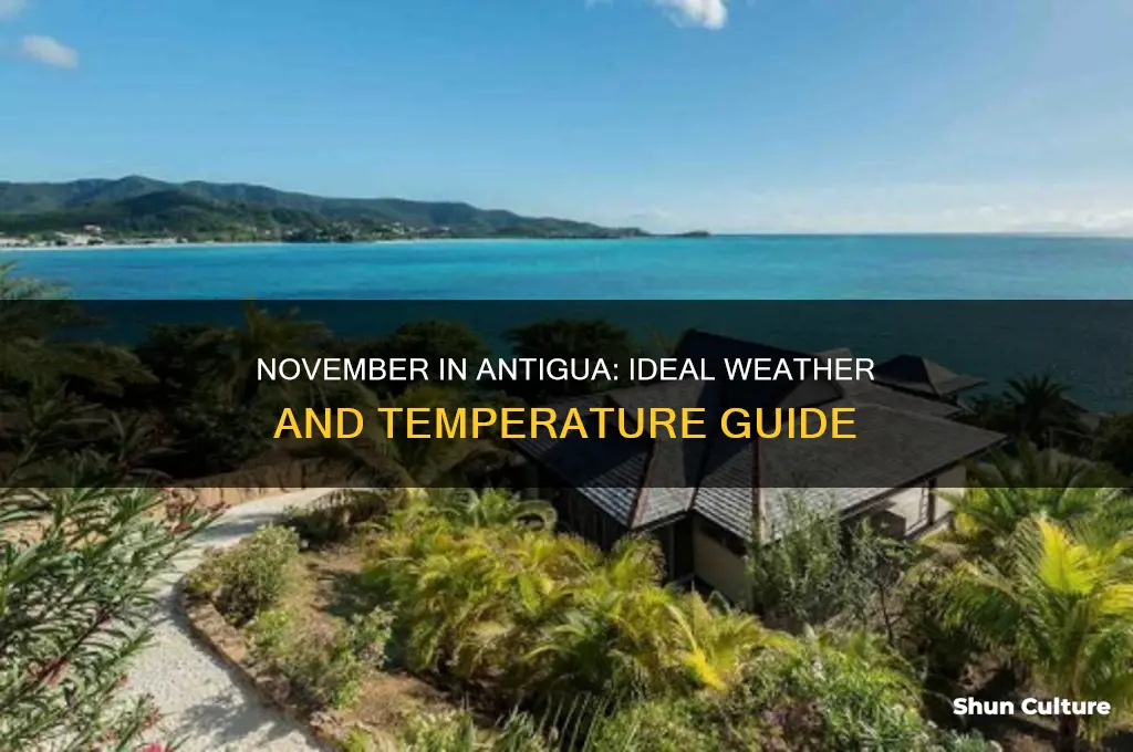 what is the temperature in antigua in november