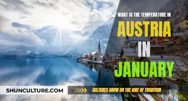 Chilly January: Exploring Austria's Winter Temperatures