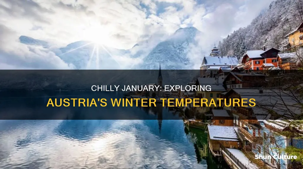 what is the temperature in austria in january