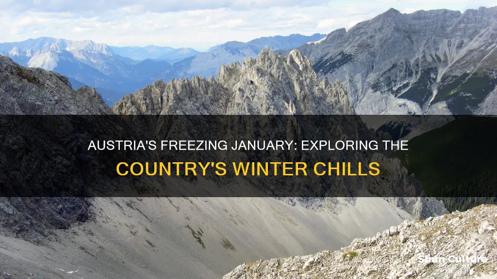 what is the temperature in austria in january