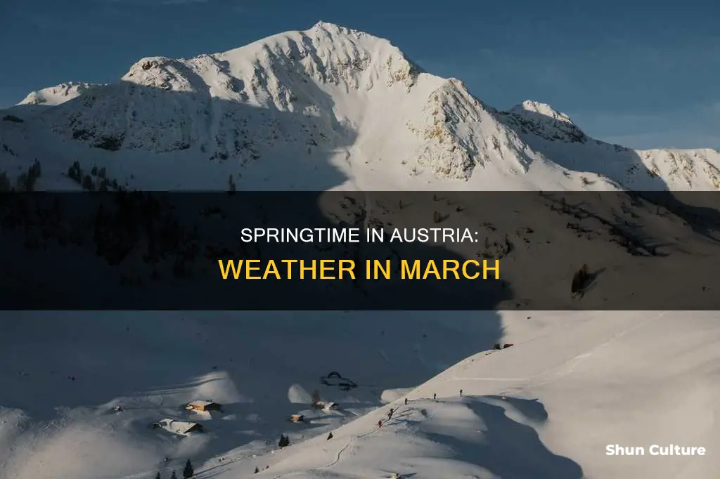 what is the temperature in austria in march