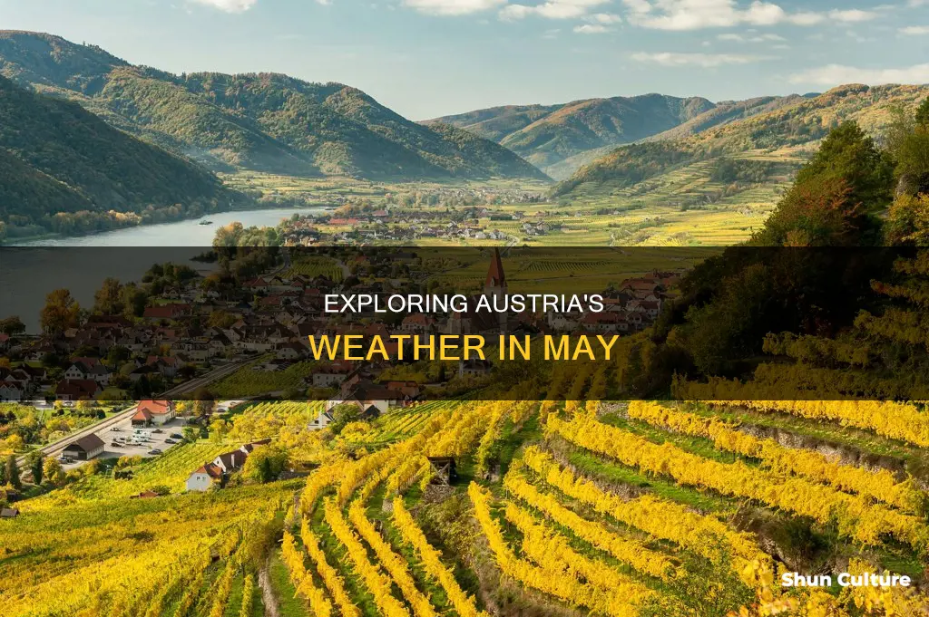 what is the temperature in austria in may