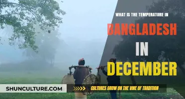 December Weather in Bangladesh: Average Temperatures and Climate Insights