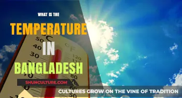 Exploring Bangladesh's Climate: Average Temperatures and Seasonal Variations