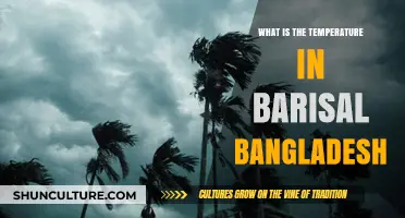 Exploring Barisal, Bangladesh: Current Weather and Temperature Insights