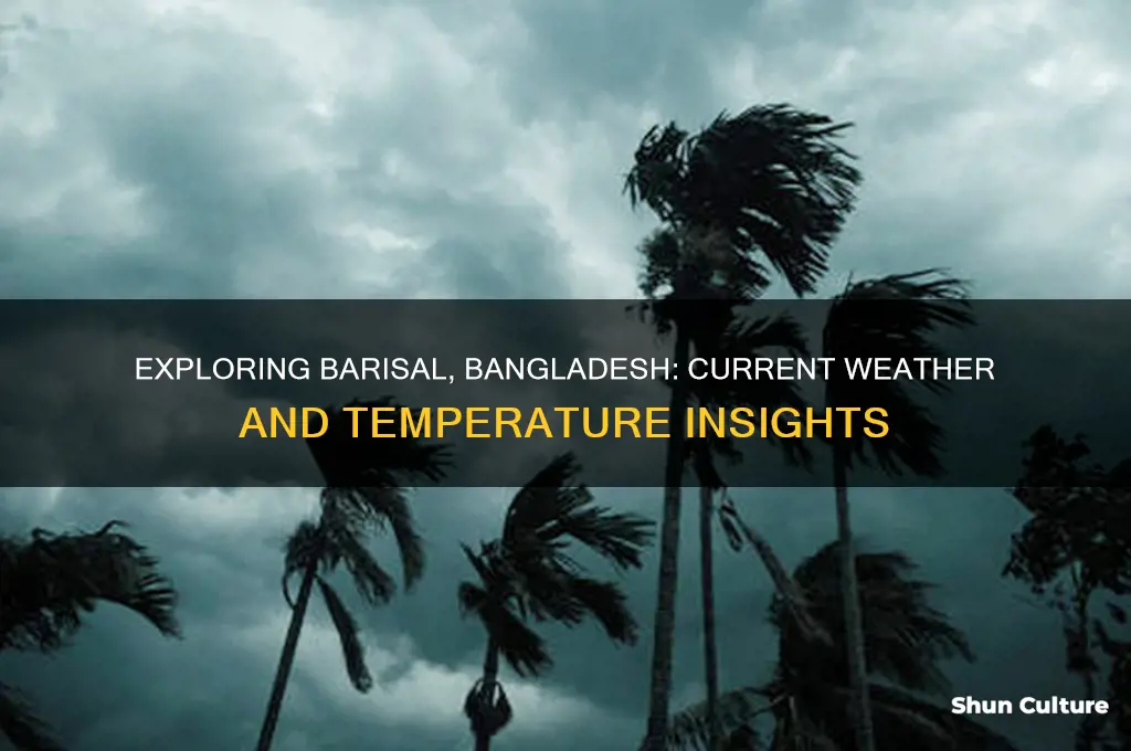 what is the temperature in barisal bangladesh