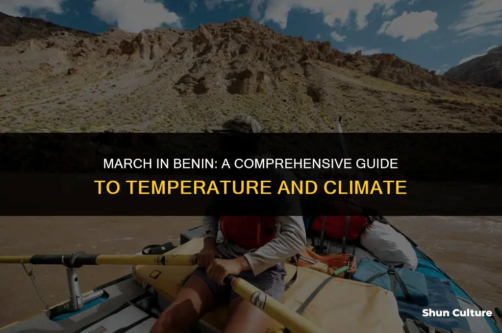 what is the temperature in benin in march
