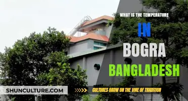 Bogra, Bangladesh: Current Temperature and Weather Insights