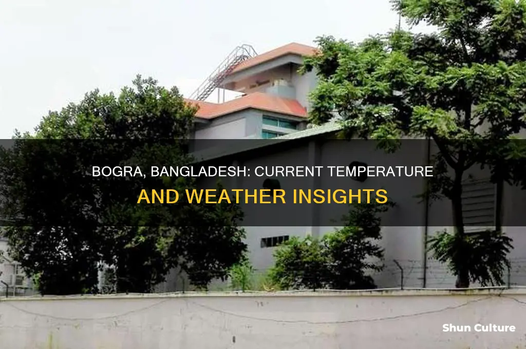 what is the temperature in bogra bangladesh