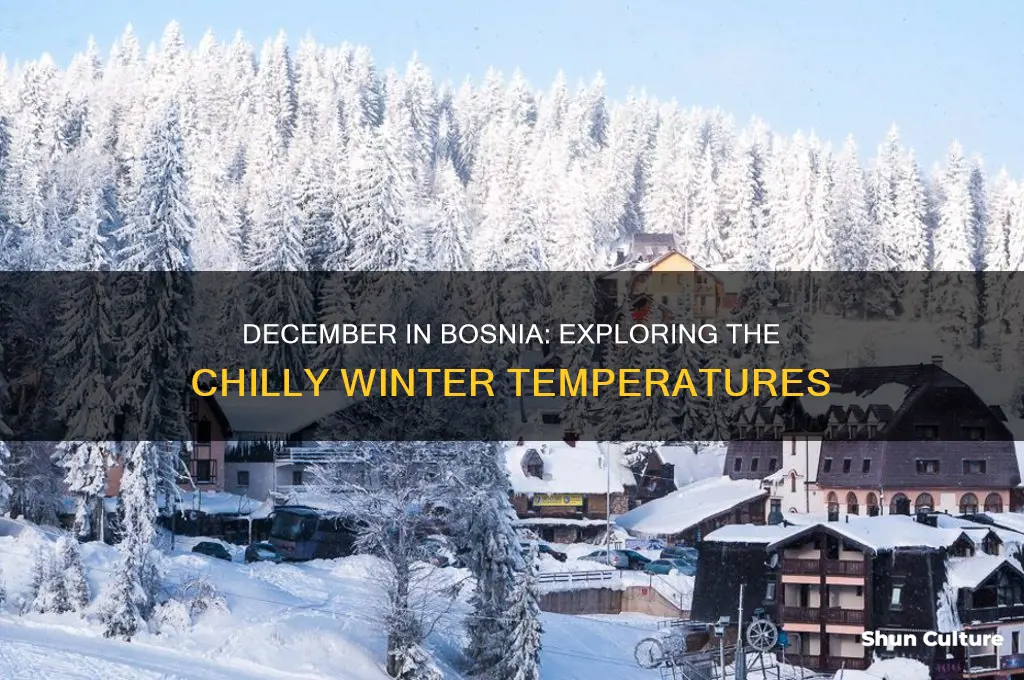 what is the temperature in bosnia in december