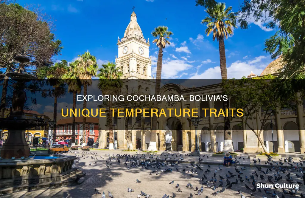 what is the temperature in cochabamba bolivia