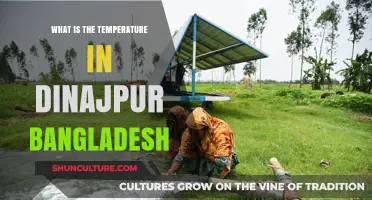 Dinajpur, Bangladesh: Current Temperature and Weather Insights