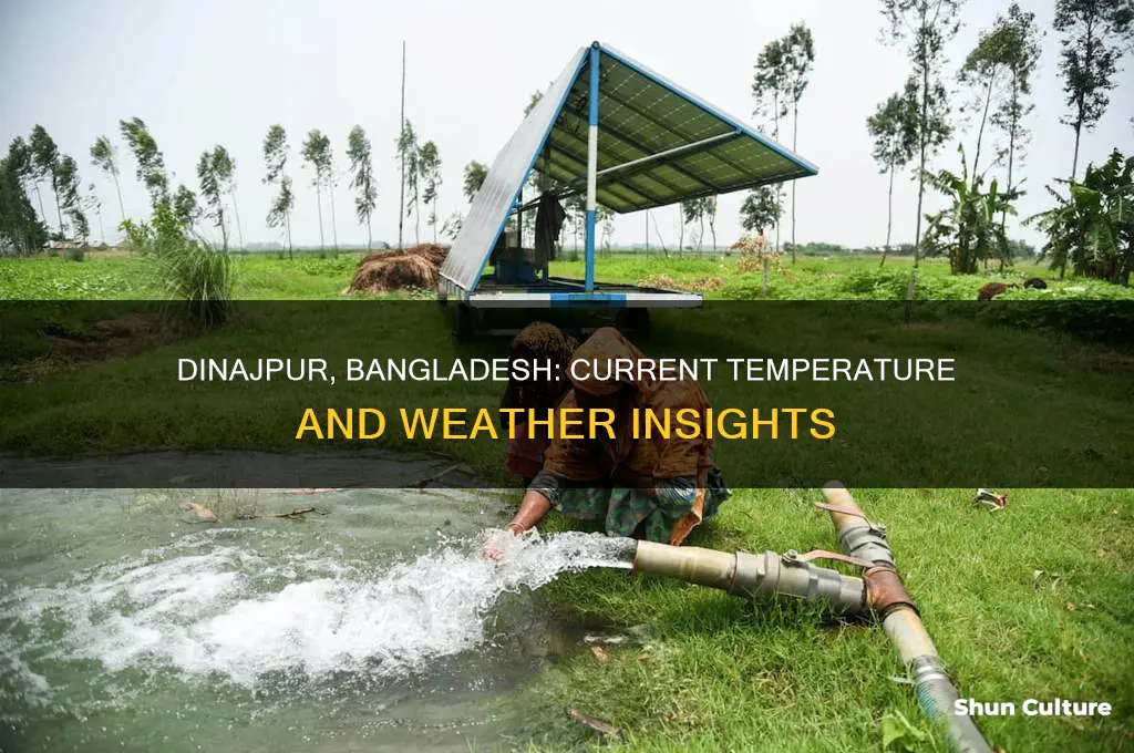 what is the temperature in dinajpur bangladesh