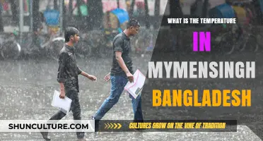 Mymensingh, Bangladesh: Current Temperature and Weather Insights