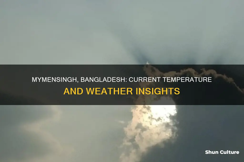 what is the temperature in mymensingh bangladesh