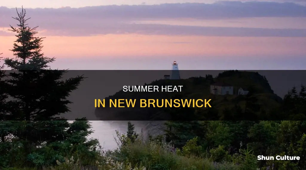 what is the temperature in new brunswick on july 29