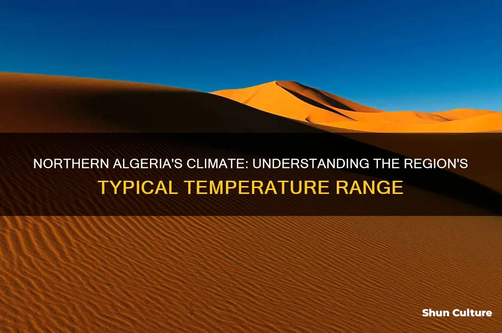 what is the temperature in northern algeria