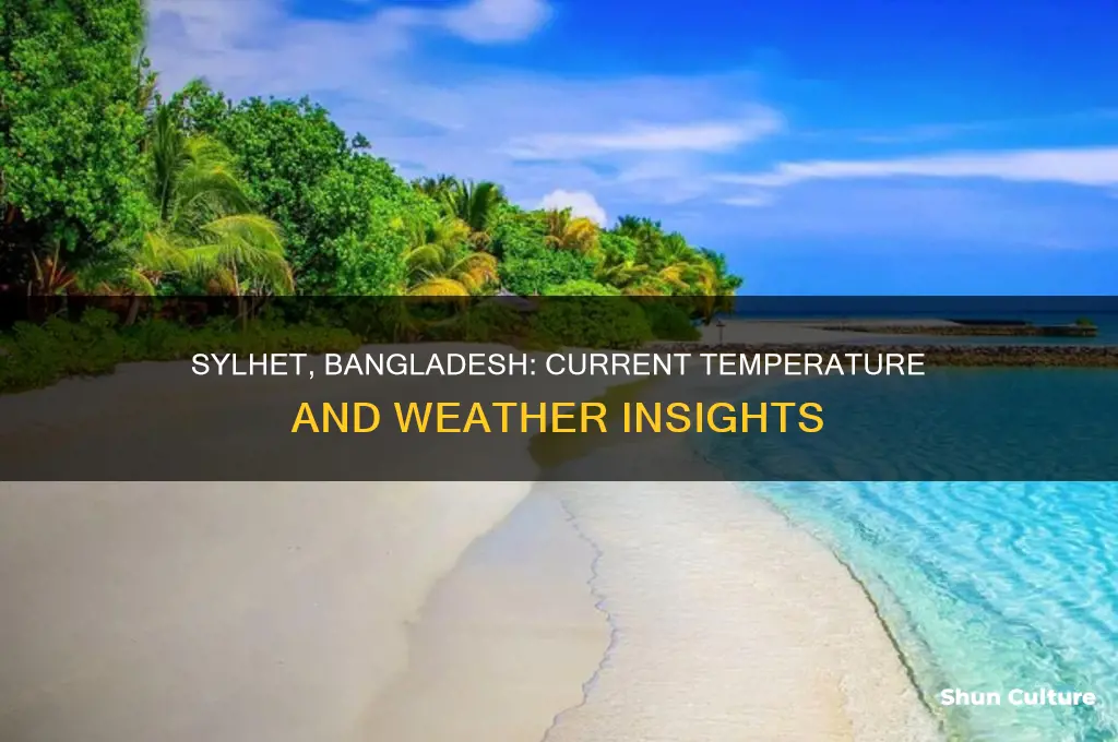 what is the temperature in sylhet bangladesh