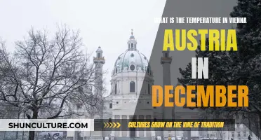 Winter Wonderland: December's Chilly Charm in Vienna, Austria