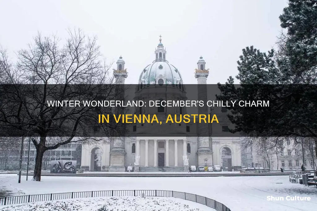 what is the temperature in vienna austria in december