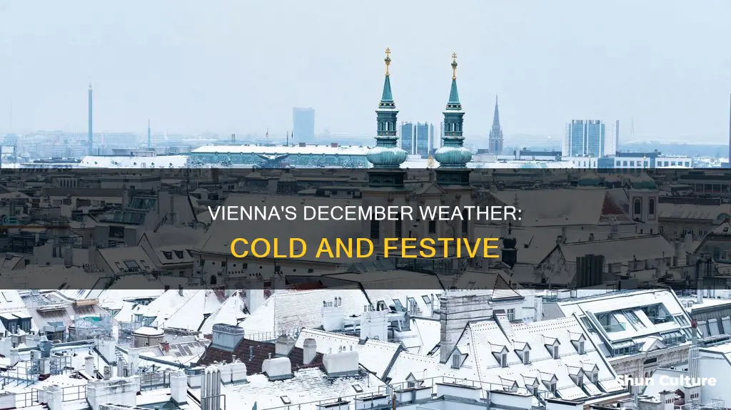 what is the temperature in vienna austria in december