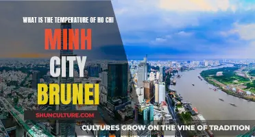 Exploring Ho Chi Minh City's Climate and Temperature