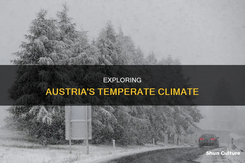 what is the temputer like in austria