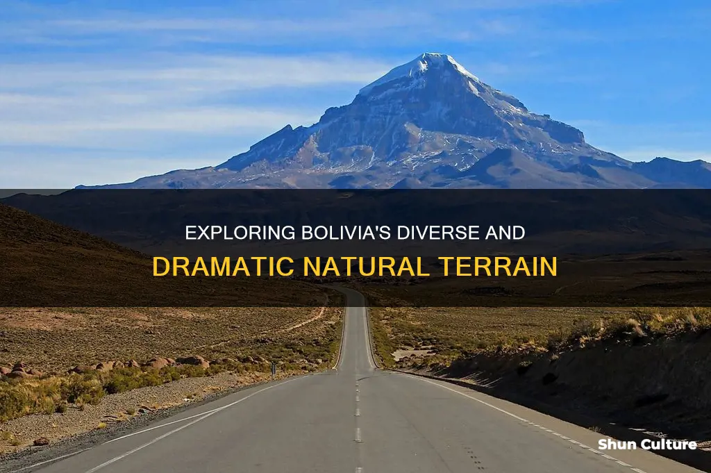 what is the terrain in bolivia