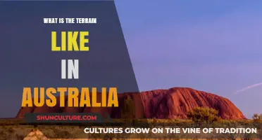 Exploring Australia's Diverse Terrain: From Deserts to Coastlines